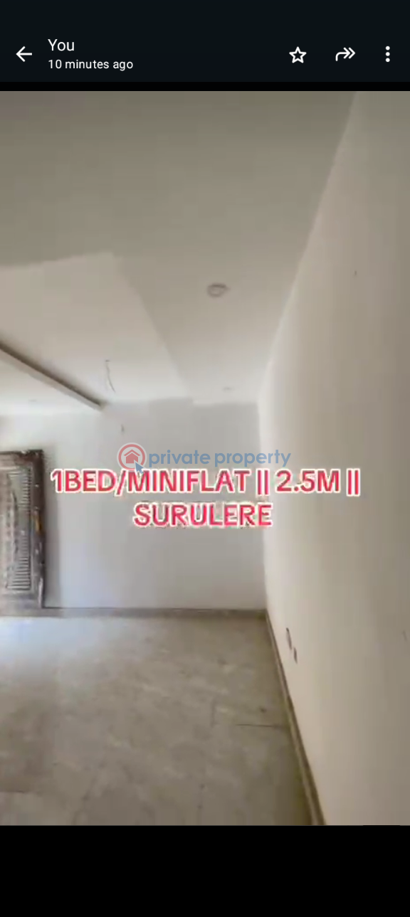 1 bedroom Mini Flat For Rent Lawanson Surulere Lagos - 2