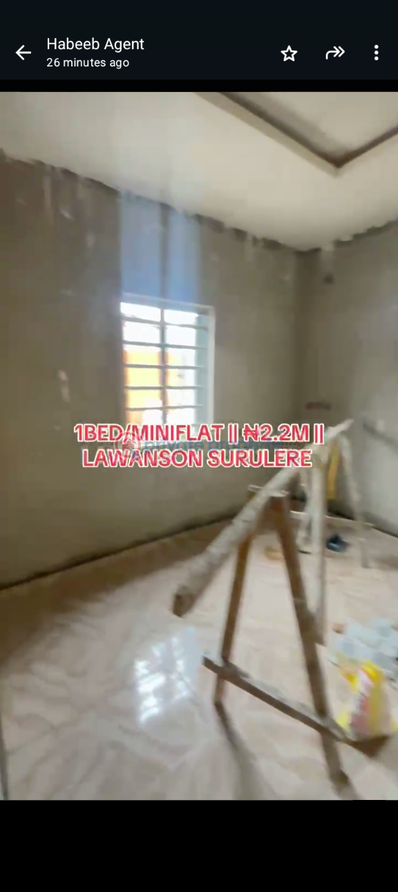 1 bedroom Mini Flat For Rent Lawanson Surulere Lagos - 4