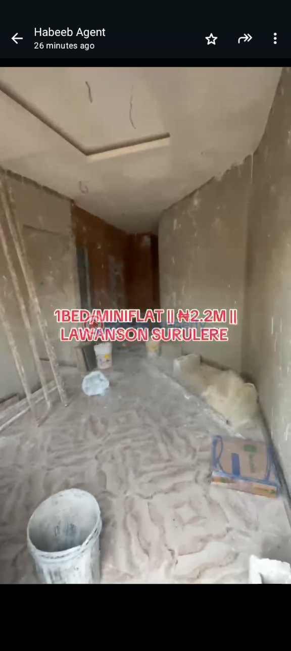 1 bedroom Mini Flat For Rent Lawanson Surulere Lagos - 1