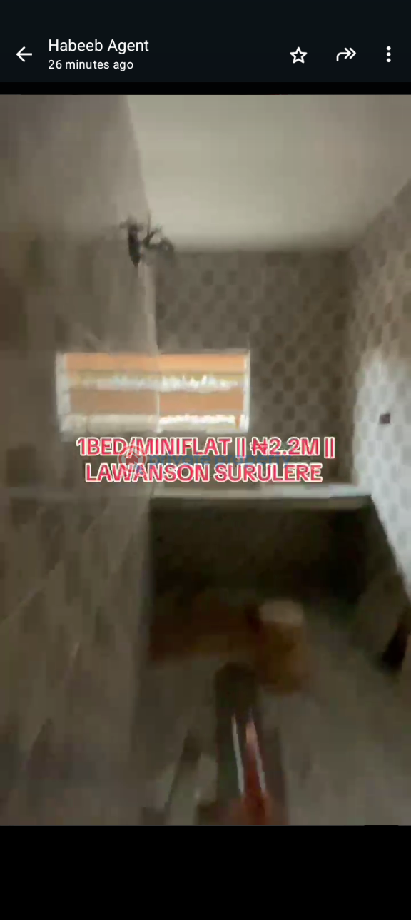 1 bedroom Mini Flat For Rent Lawanson Surulere Lagos - 3