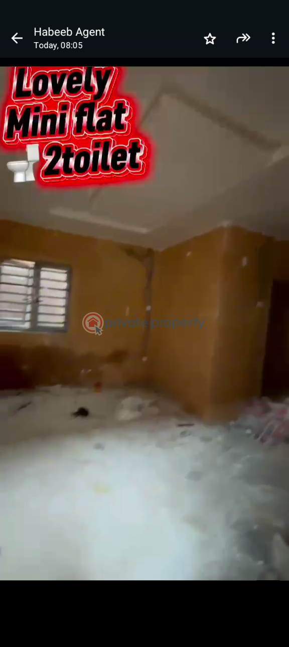 1 bedroom Mini Flat For Rent Itire-Ikate Surulere Lagos - 4