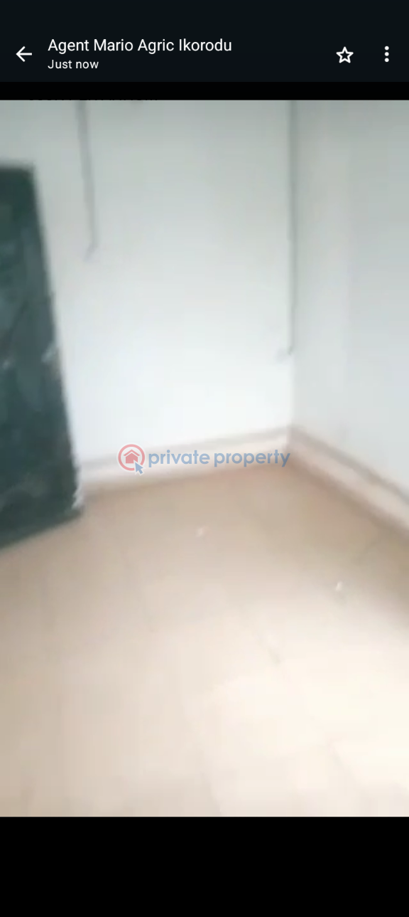 1 bedroom Flat & Apartment For Rent Agric Ikorodu Lagos - 1