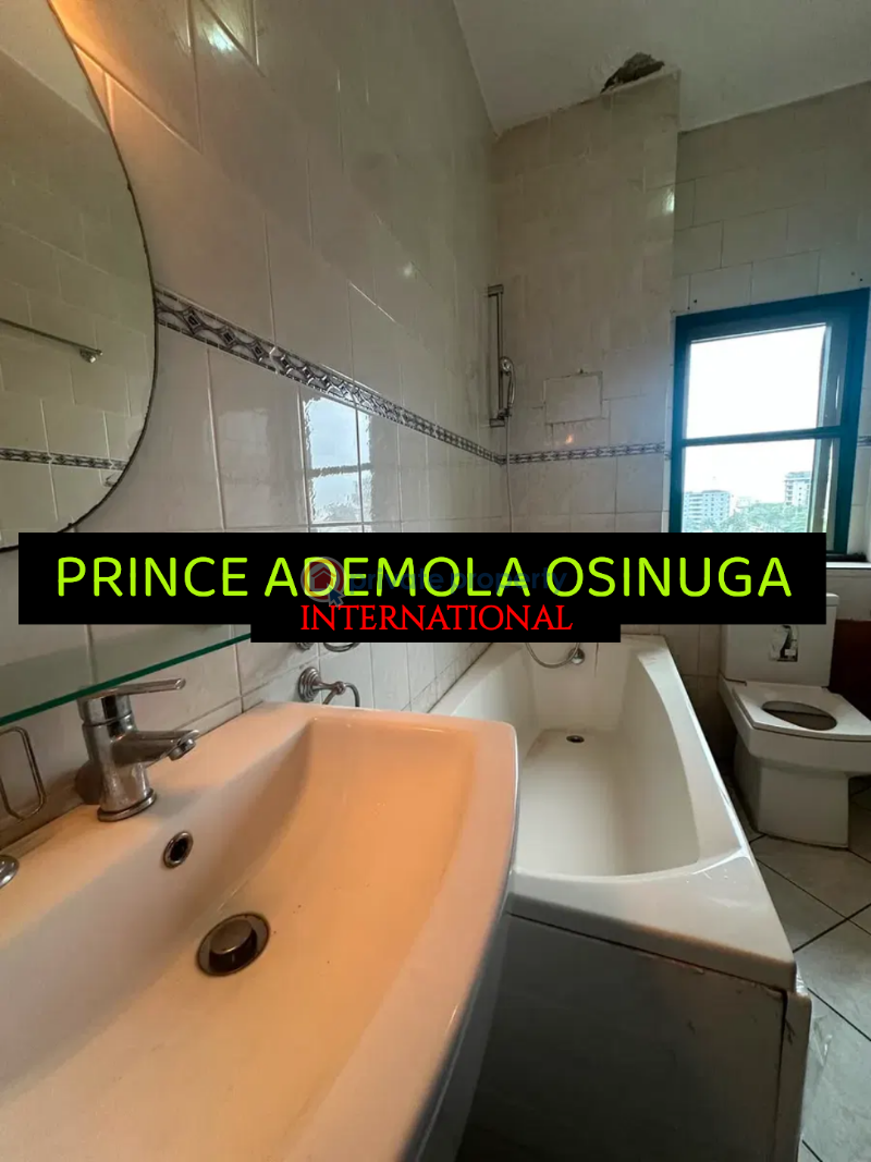 3 bedroom Flat & Apartment For Rent Old Ikoyi Lagos - 8