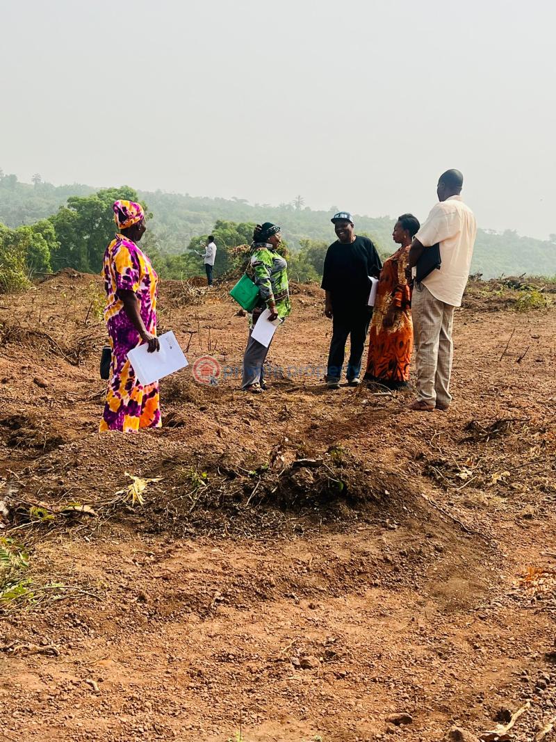 Land For Sale International Brewery, Sagamu Interchange, Baby And Peers Company, Nestle Company Ofada Ogun area  - 3