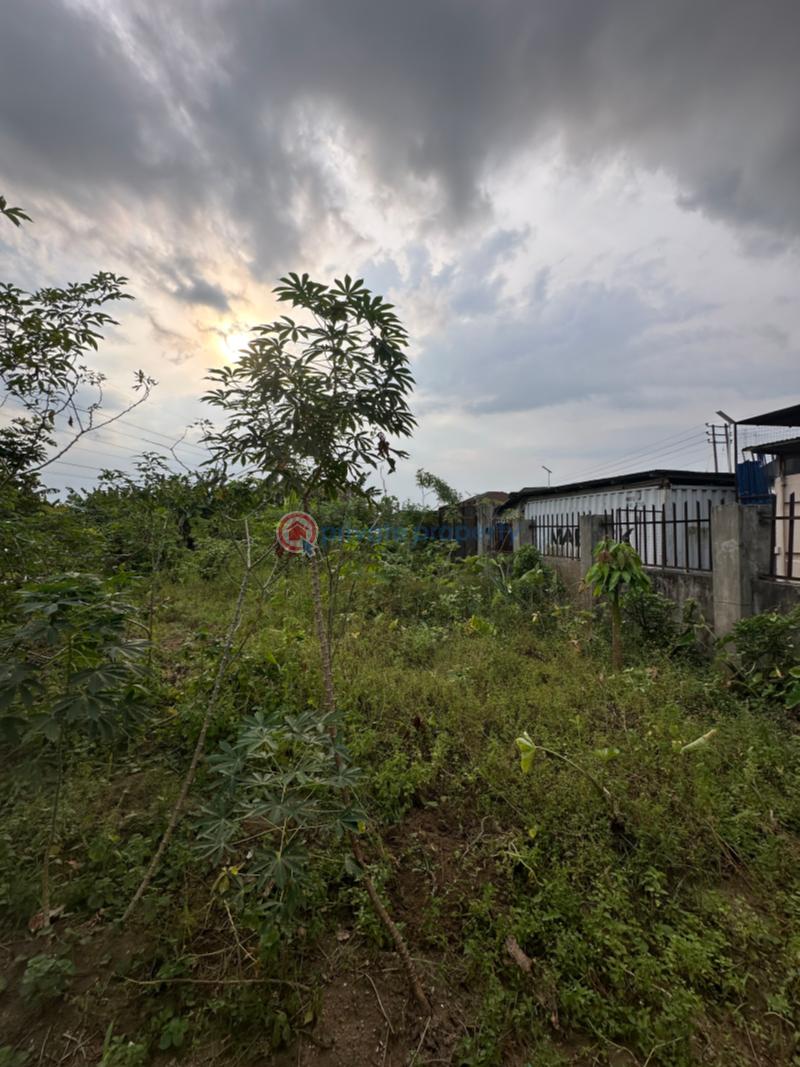 Mixed use Land For Sale Along Sars Road Rupkpokwu Port Harcourt Rivers - 2