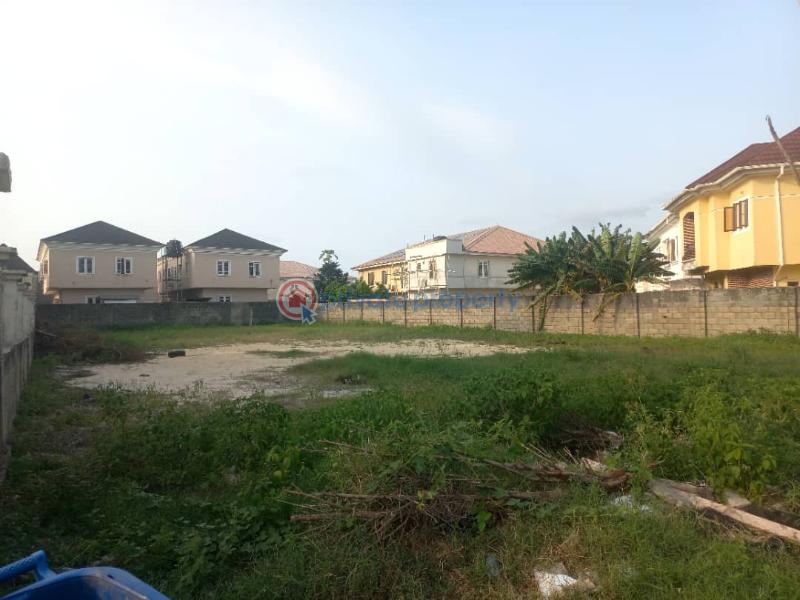Residential Land For Sale Diamond Estate Sangotedo Ajah Lagos - 1