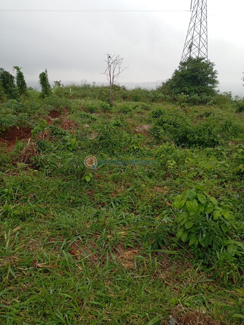 Residential Land For Sale Enuko Village Ishiagu Awka South Anambra - 0