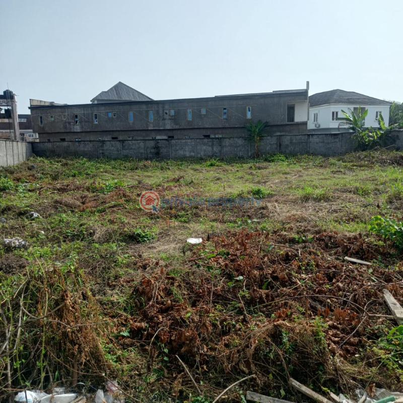 Residential Land For Sale Liberty Estate, Idi Iroko Village, Eti Osa, Lagos Ikota Lekki Lagos - 2