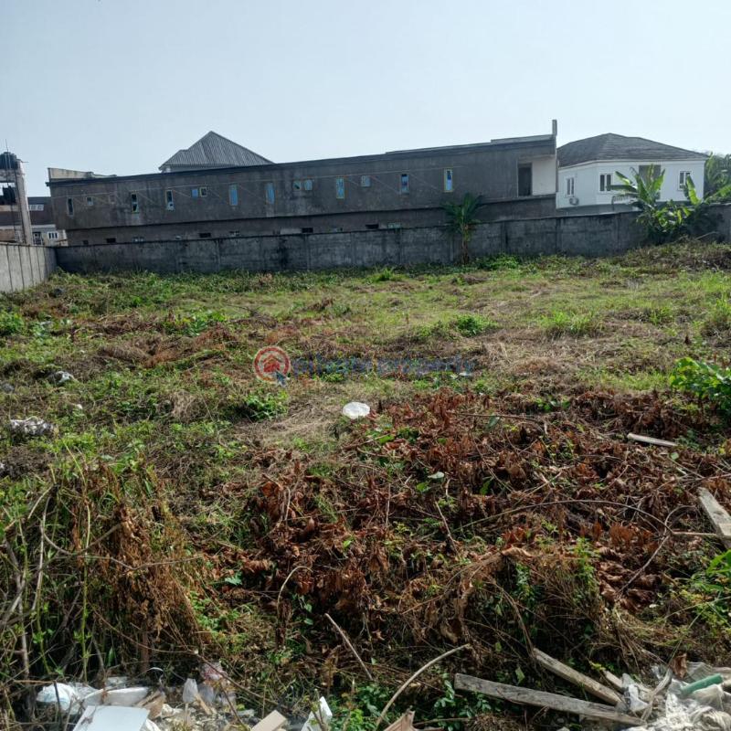 Residential Land For Sale Liberty Estate, Idi Iroko Village, Eti Osa, Lagos Ikota Lekki Lagos - 0