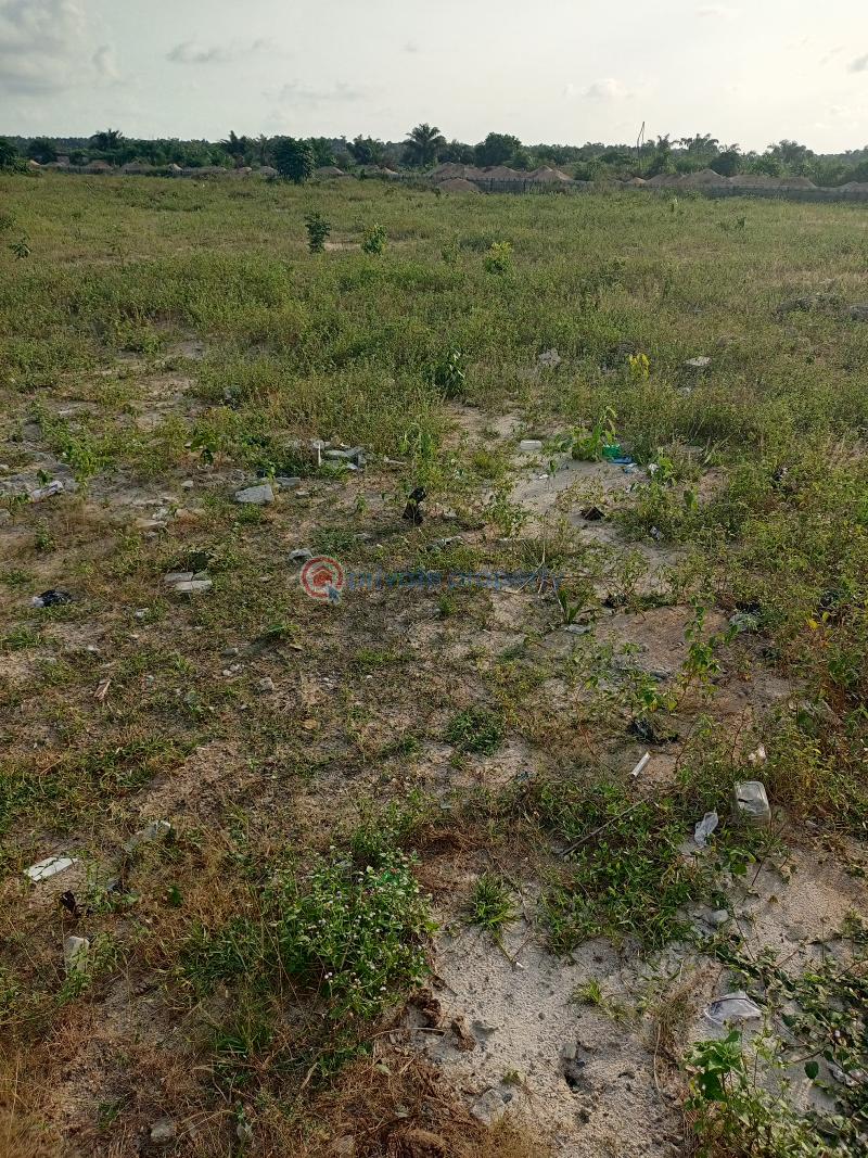 Residential Land For Sale Ohaji/Egbema Imo - 1