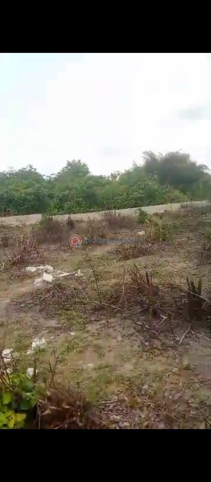 Residential Land For Sale Ohaji/Egbema Imo - 1