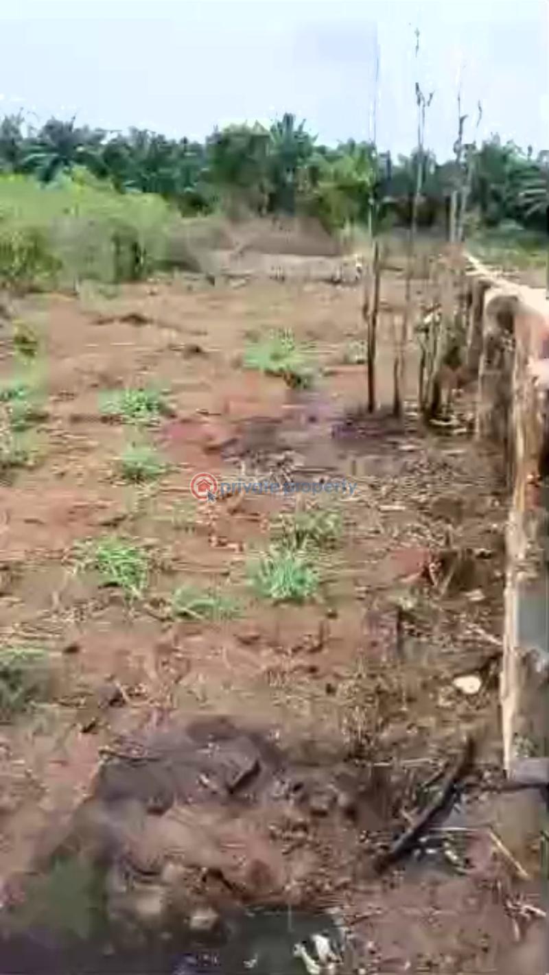 Mixed use Land For Sale Ikpe Community Along Benin Abraka Road. Benin City.edo State. Benin Edo - 1