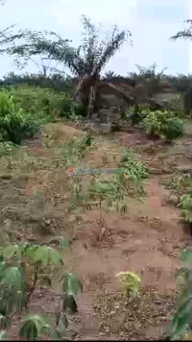Mixed use Land For Sale Ikpe Community Along Benin Abraka Road. Benin City.edo State. Benin Edo - 2