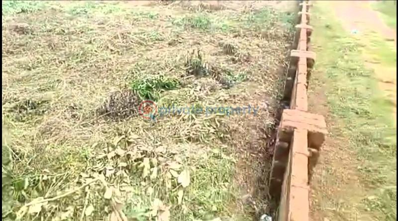 Mixed use Land For Sale Amagba, Along The Street Before Maiami Haven. Benin Edo - 2