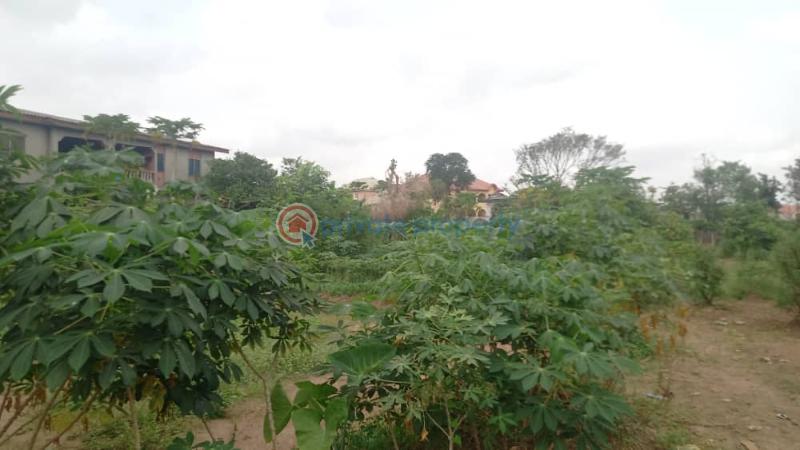 Mixed use Land For Sale Unity Estate Egbeda Egbe/Idimu Lagos - 2