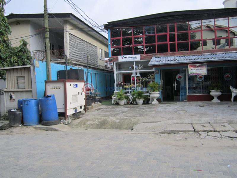 House For Sale South West Ikoyi Lagos Ikoyi South West Lagos