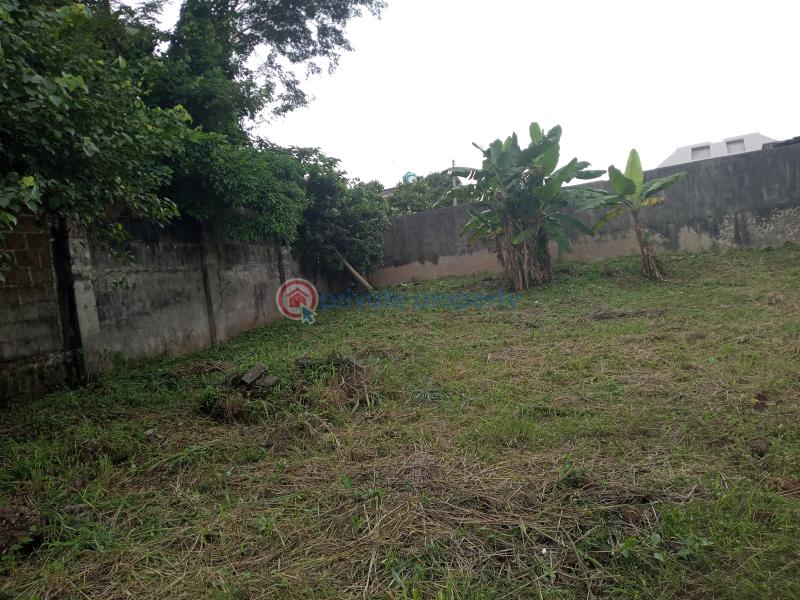 Warehouse For Sale Suberu Oje Road, Alagbado Alagbado Abule Egba Lagos - 12