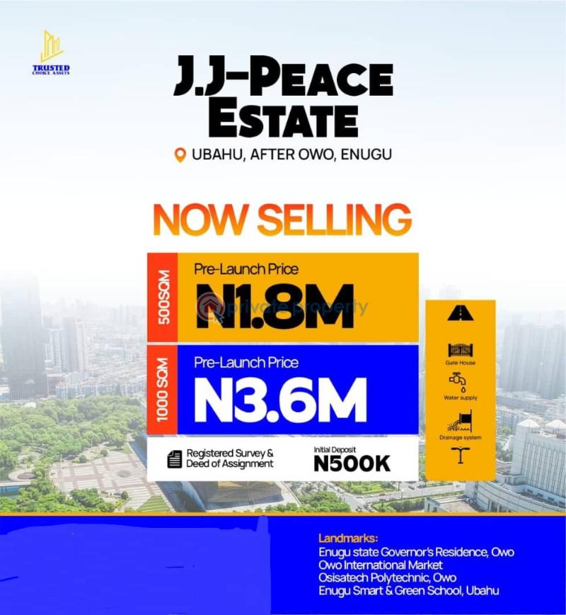Commercial Land For Sale J.j Peace Estate Owo International Market Osisatech Polytechnic Owo Enugu Smart & Green School, Ubah Enugu Area 