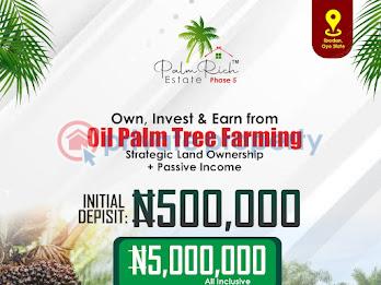 Commercial Land For Sale Palm Tree Investment At Iwo Road Ibadan Oyo - 1