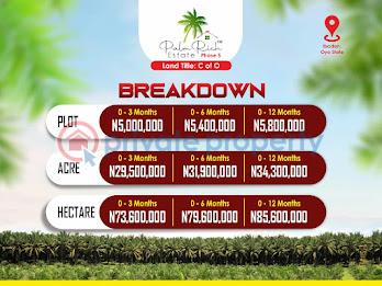 Commercial Land For Sale Palm Tree Investment At Iwo Road Ibadan Oyo - 0