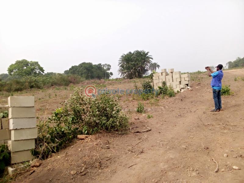 Residential Land For Sale Congress Homes Estate Close To Central Business District Alausa, Ikeja Arepo Lagos Extension Ogun - 1