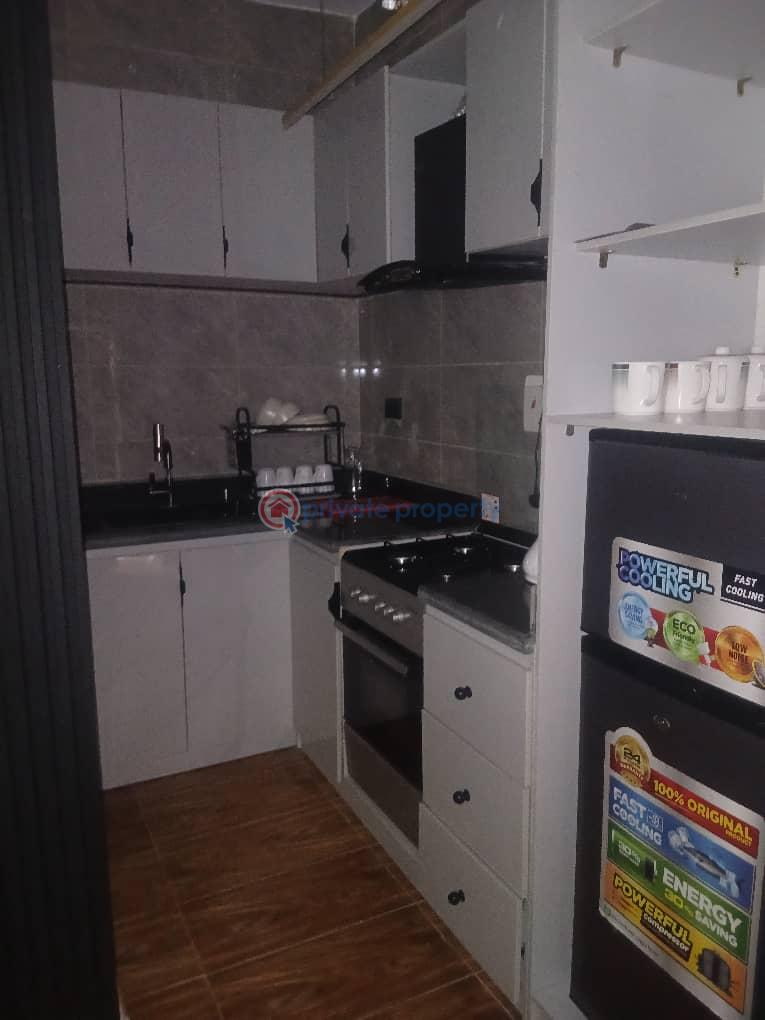 1 bedroom Mini Flat For Rent Chevron's Drive Lekki Lagos. Chevron Drive Lekki Lagos - 6