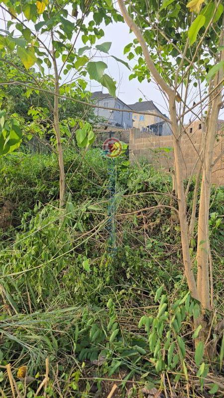 Residential Land For Sale Oloke / Ibara Oke Mosan Abeokuta Ogun - 2