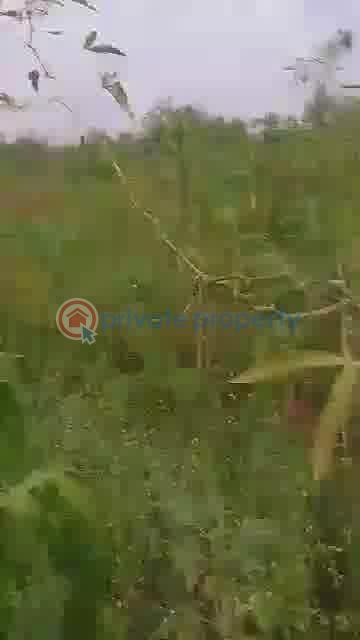 Residential Land For Sale Ajure Egbeda, Ajoda New Town Housing Estate, Egbeda Local Government Area, Ibadan Egbeda(ibadan) Oyo - 4