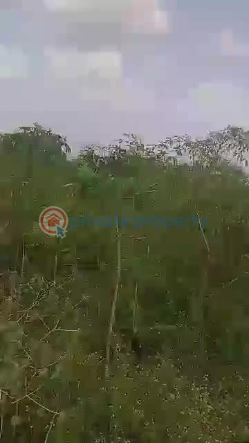 Residential Land For Sale Ajure Egbeda, Ajoda New Town Housing Estate, Egbeda Local Government Area, Ibadan Egbeda(ibadan) Oyo - 2