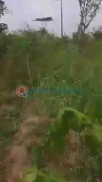 Residential Land For Sale Ajure Egbeda, Ajoda New Town Housing Estate, Egbeda Local Government Area, Ibadan Egbeda(ibadan) Oyo - 5