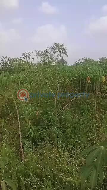 Residential Land For Sale Ajure Egbeda, Ajoda New Town Housing Estate, Egbeda Local Government Area, Ibadan Egbeda(ibadan) Oyo - 0