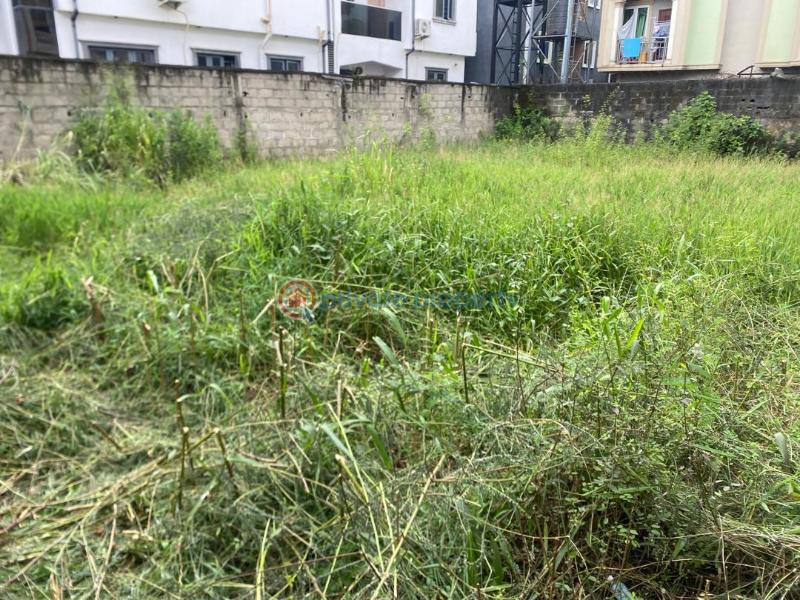 Residential Land For Sale Startimes Estate Ago Palace Isolo Lagos