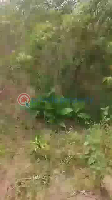 Residential Land For Sale Ajure Egbeda, Ajoda New Town Housing Estate, Egbeda Local Government Area, Ibadan Egbeda(ibadan) Oyo - 10