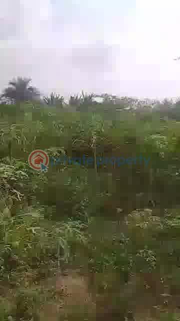 Residential Land For Sale Ajure Egbeda, Ajoda New Town Housing Estate, Egbeda Local Government Area, Ibadan Egbeda(ibadan) Oyo - 8