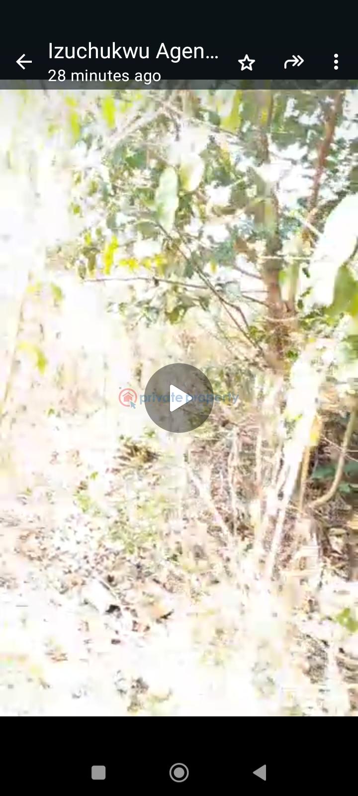 Land For Sale Ikpeama/transekulu Enugu Area  - 3