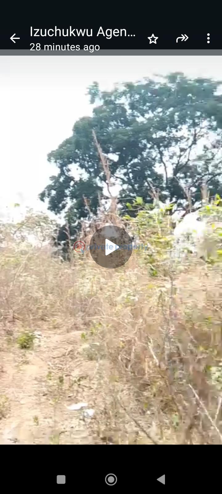 Land For Sale Ikpeama/transekulu Enugu Area  - 1