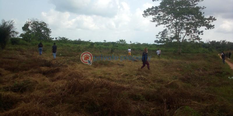 Virginia court igbonla epe with register survey  100% topographic - 6 Residential Land For Sale St Augustine University, Lagos State And Lagos Model College Epe Lagos - 6