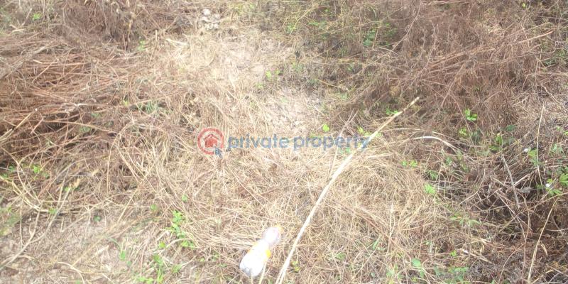 Virginia court igbonla epe with register survey  100% topographic - 4 Residential Land For Sale St Augustine University, Lagos State And Lagos Model College Epe Lagos - 4
