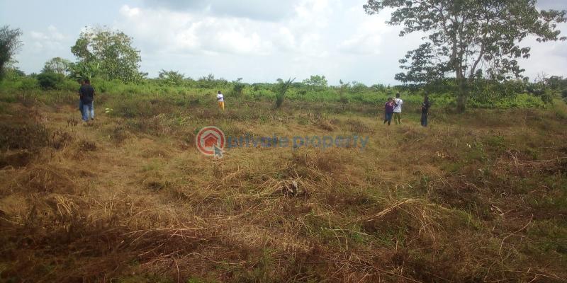 Virginia court igbonla epe with register survey  100% topographic - 2 Residential Land For Sale St Augustine University, Lagos State And Lagos Model College Epe Lagos - 2