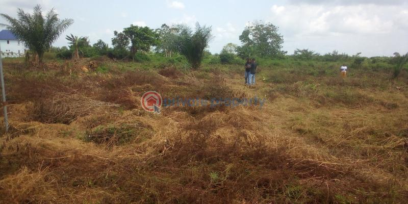 Virginia court igbonla epe with register survey  100% topographic - 5 Residential Land For Sale St Augustine University, Lagos State And Lagos Model College Epe Lagos - 5