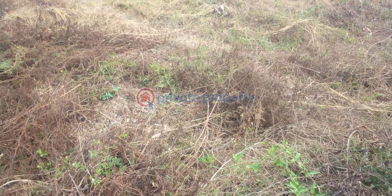 Virginia court igbonla epe with register survey  100% topographic - 3 Residential Land For Sale St Augustine University, Lagos State And Lagos Model College Epe Lagos - 3
