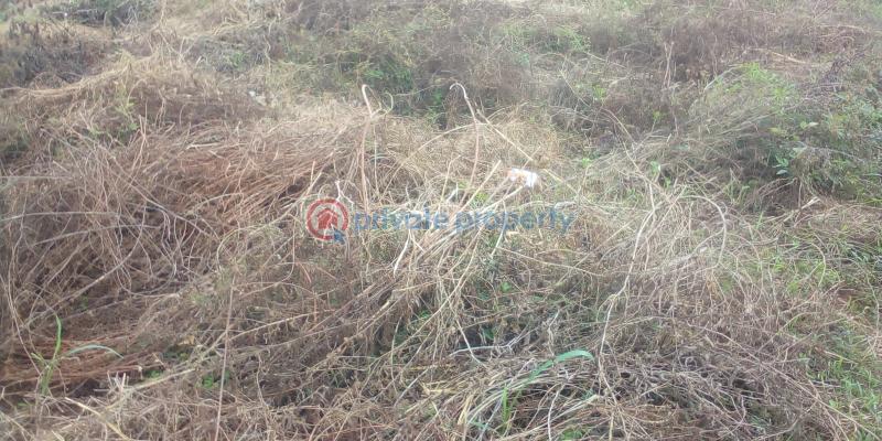 Virginia court igbonla epe with register survey  100% topographic - 7 Residential Land For Sale St Augustine University, Lagos State And Lagos Model College Epe Lagos - 7