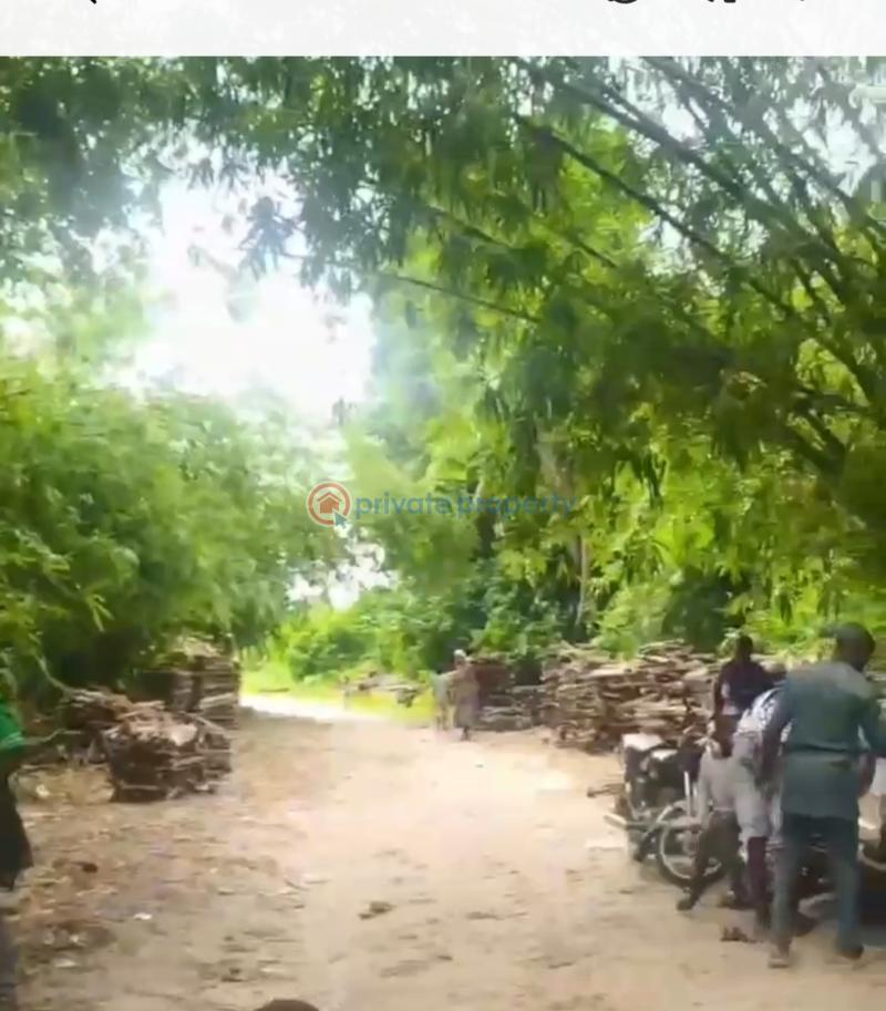 Mixed use Land For Sale Liberty Island Estate Dongo Village Awoyaya Awoyaya Ajah Lagos - 7