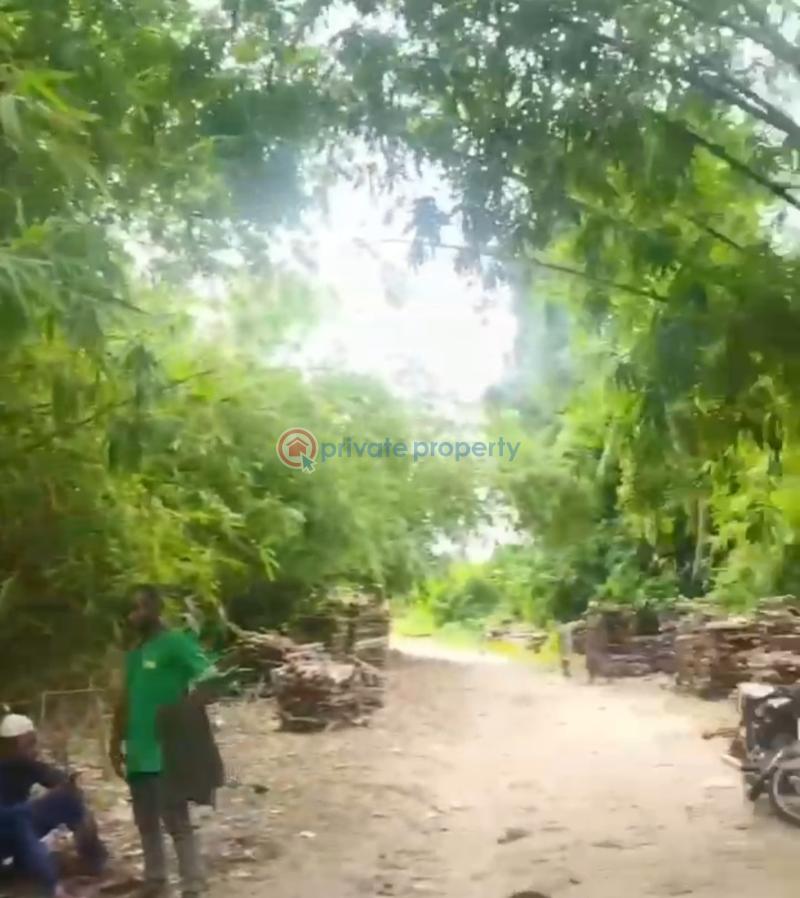 Mixed use Land For Sale Liberty Island Estate Dongo Village Awoyaya Awoyaya Ajah Lagos - 6