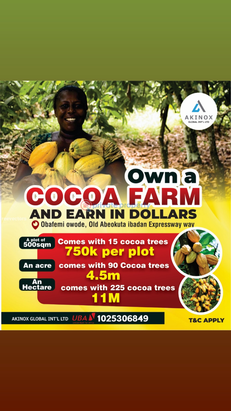 *welcome to cocoa farm village estate, obafemi, owode, ogun state. - 1 Industrial Land For Sale Ajebo Obafemi Owode Ogun - 1