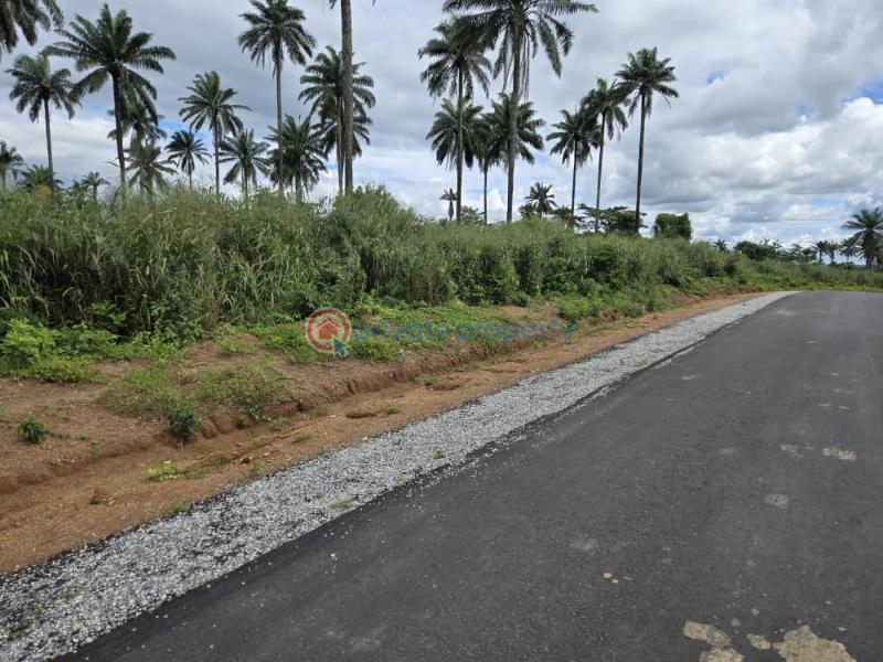 Residential Land For Sale Oba Obafemi Owode Ogun - 0