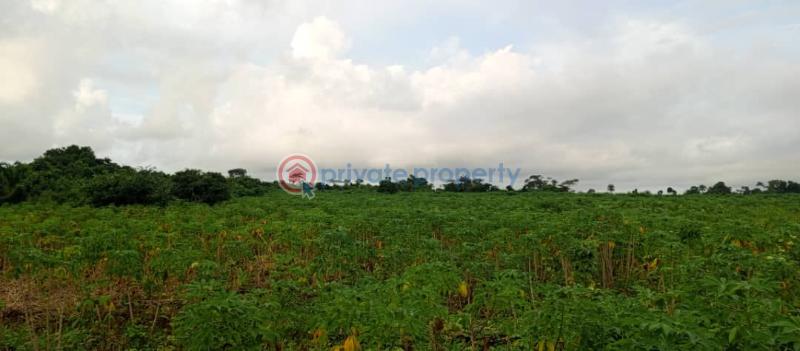 Commercial Land For Sale Wonder Land Few Minutes Drive From Epe Toll Gate, Iloti, Ogun State Ogun area  - 1