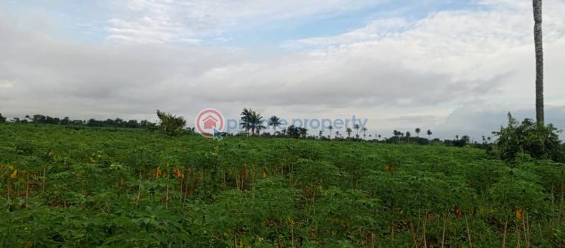 Commercial Land For Sale Wonder Land Few Minutes Drive From Epe Toll Gate, Iloti, Ogun State Ogun area  - 2