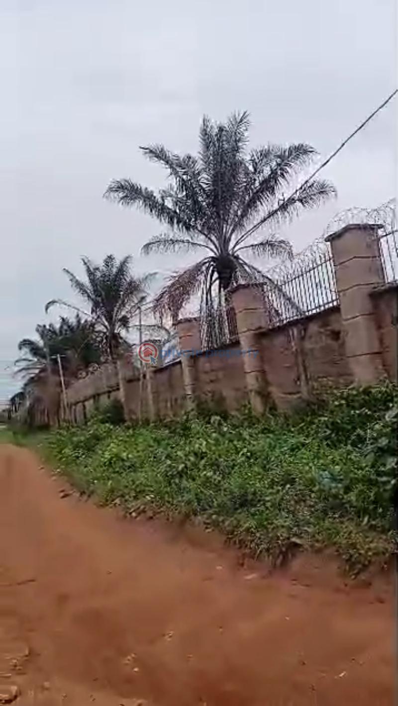 Mixed use Land For Sale Aruogba, The Road Opposite St Andrew Catholic Church,off Irhirhi Estate Gate Road. Benin Edo - 1