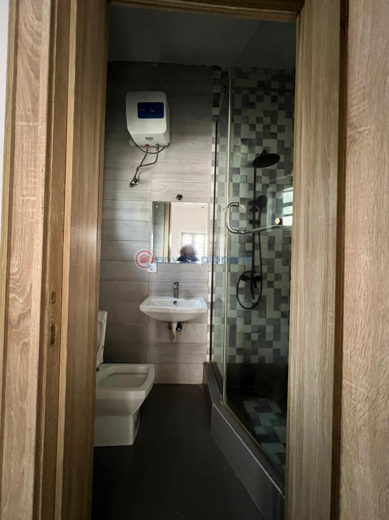 4 bedroom Detached Duplex For Rent Lekki Phase 1 Lagos - 19